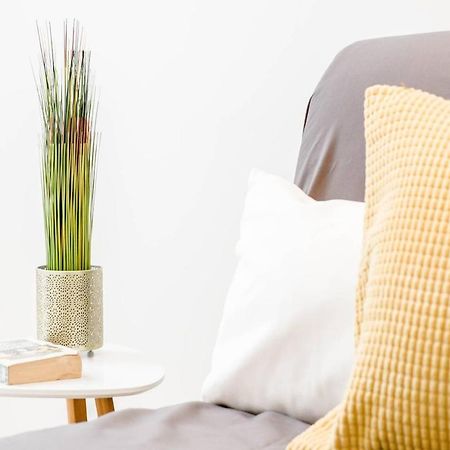 Comfy, Renewed 3 Bedroom Apt In Center بودابست المظهر الخارجي الصورة